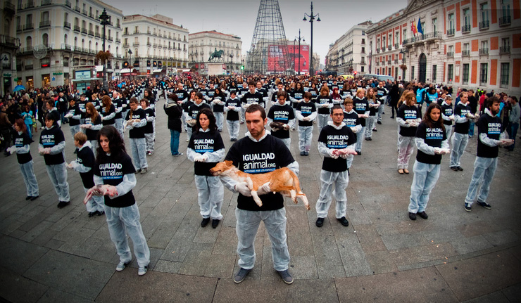 File:International-animal-rights-protest--madrid 962866.jpg