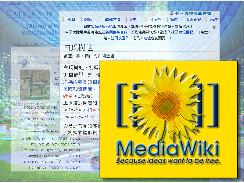 File:Okladka Media Wiki.png
