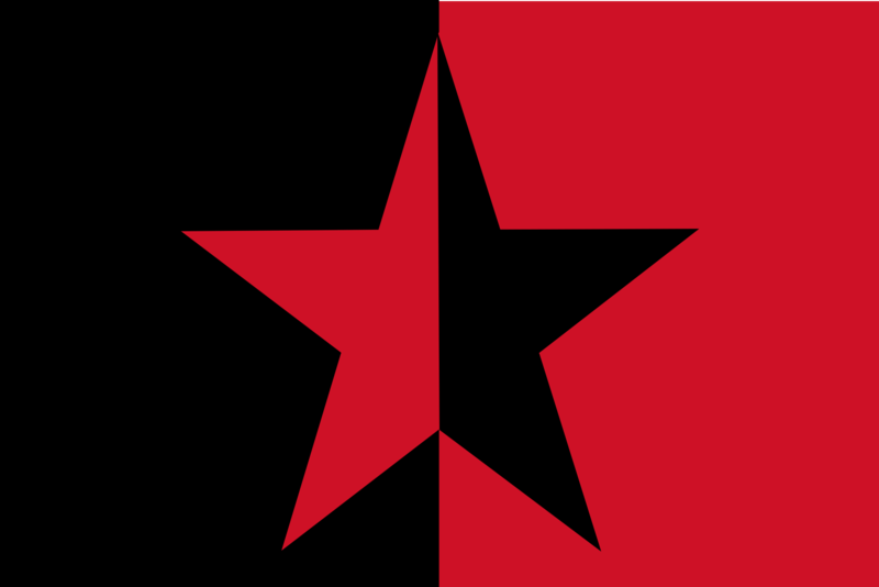 File:Flag of the EZLN.png
