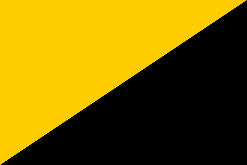 File:Ancapflag.png